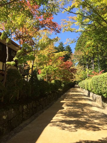 京都散歩道
